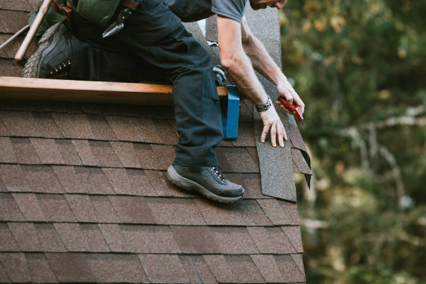 Roof Gutter Cleaning in Collegeville, PA